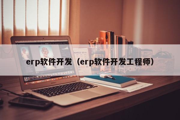 erp軟件開發(fā)（erp軟件開發(fā)工程師）