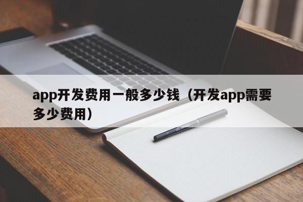 app開發(fā)費用一般多少錢（開發(fā)app需要多少費用）