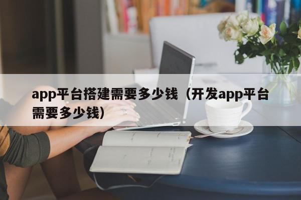 app平臺搭建需要多少錢（開發(fā)app平臺需要多少錢）