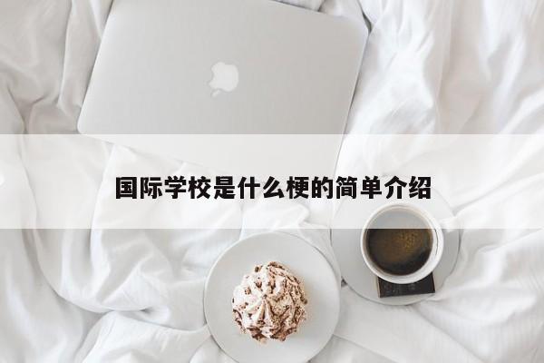 國際學校是什么梗的簡單介紹