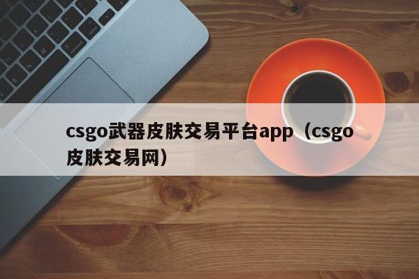 csgo武器皮膚交易平臺app（csgo皮膚交易網）