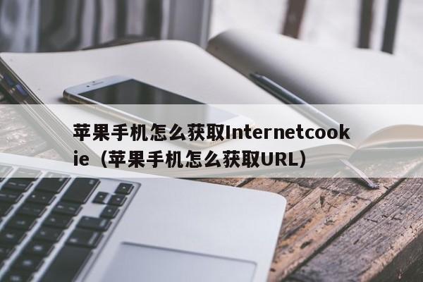 蘋(píng)果手機(jī)怎么獲取Internetcookie（蘋(píng)果手機(jī)怎么獲取URL）