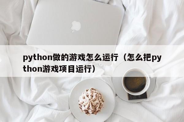 python做的游戲怎么運行（怎么把python游戲項目運行）