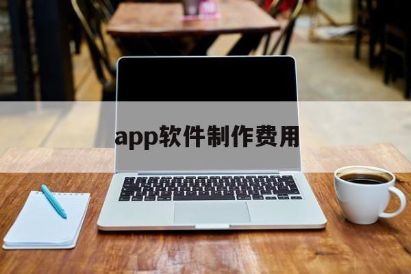 app軟件制作費用(app軟件制作費用計入什么科目)